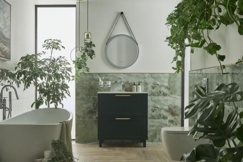 The Bathroom Plant Guide : Lighting Types, Top Picks & Benefits